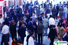 2025年巴基斯坦通讯展门票购买途径？怎么购票？