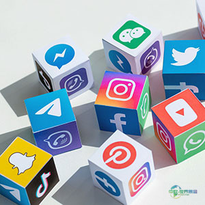 2025年11月社交媒体动态更新