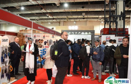 埃及电梯展2026门票在哪买