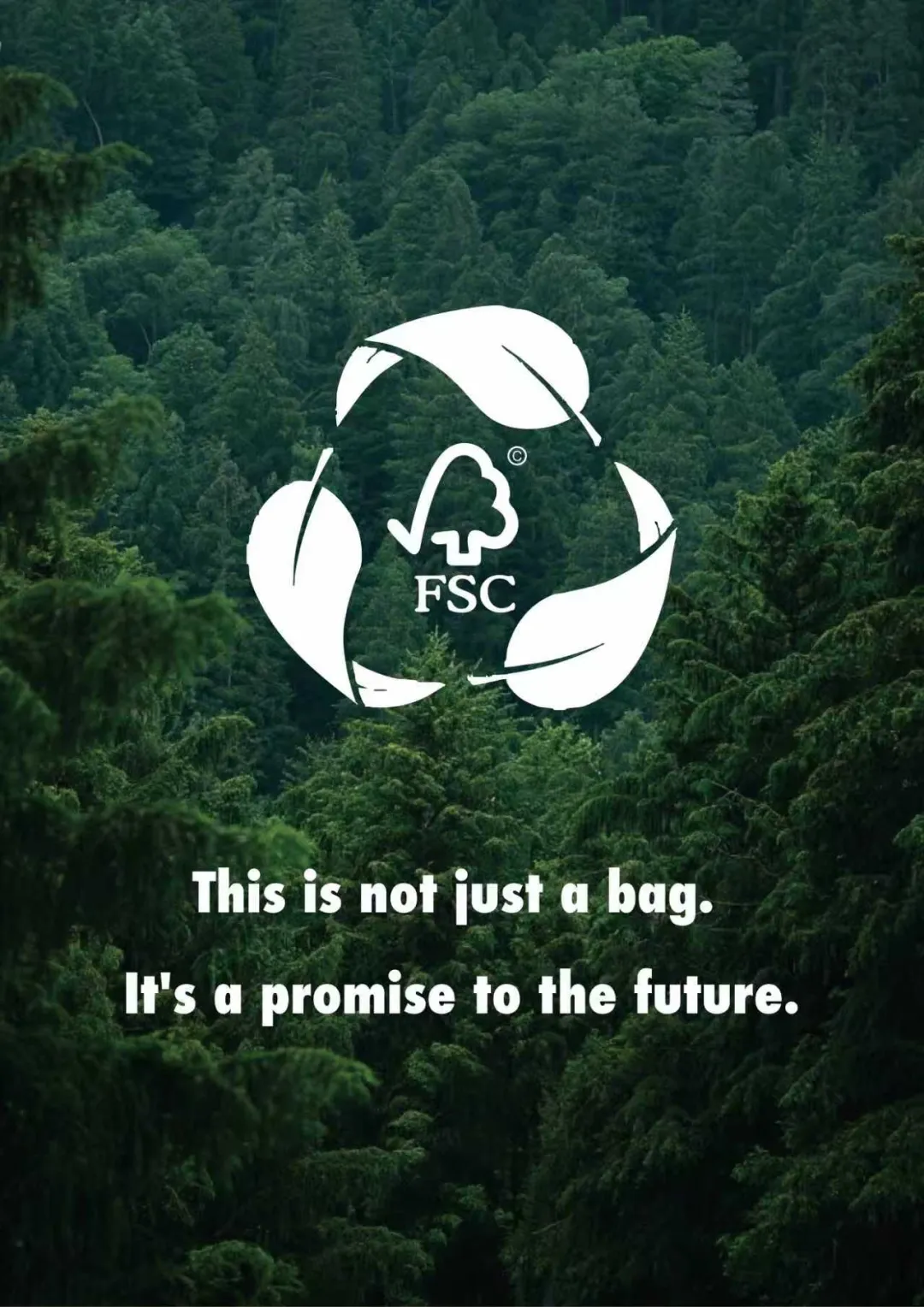 2025 亚太美容展 11 月香港启幕，Bloom Smart Trading 邀探商机