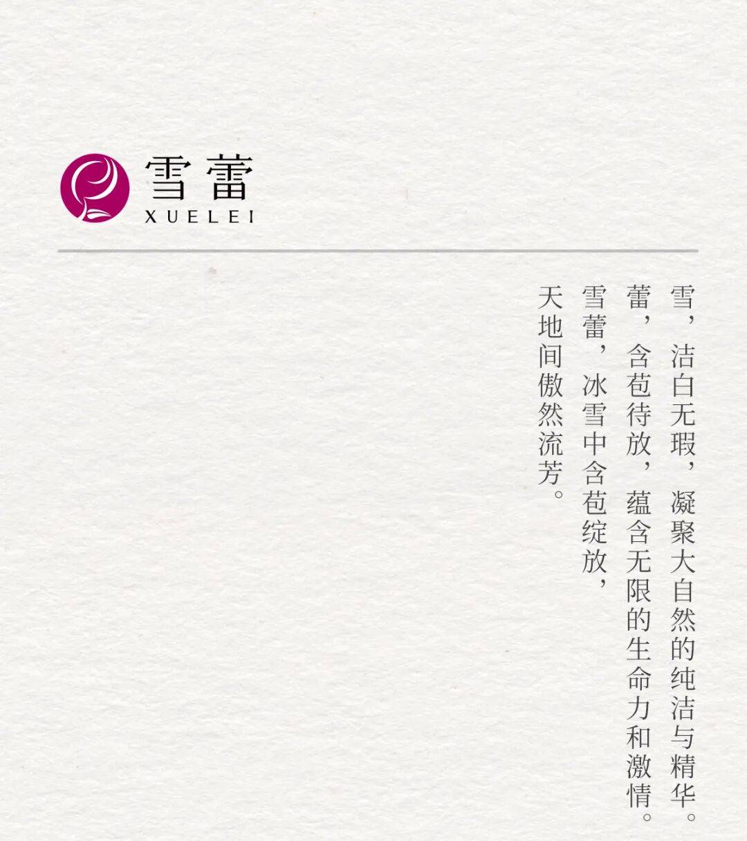 广州雪蕾参加2025亚太区美容展精彩回顾