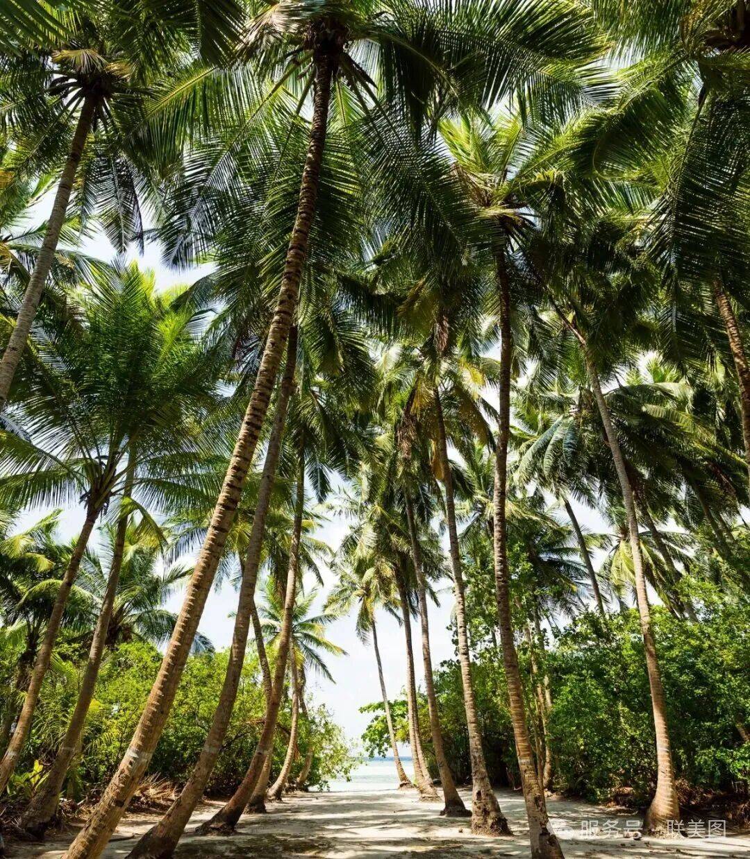 行业资讯｜生物纤维亮相2025香港亚太区美容展