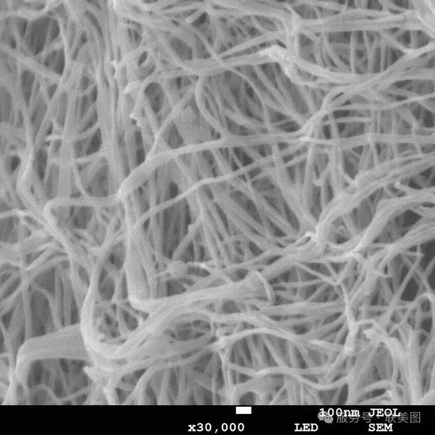 行业资讯｜生物纤维亮相2025香港亚太区美容展