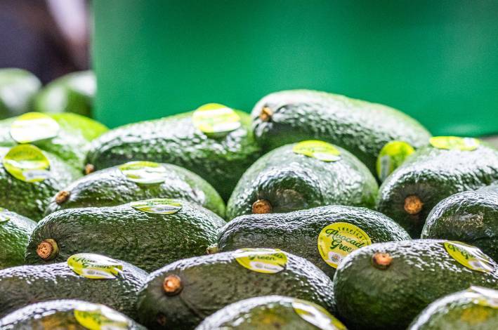 2026年巴西圣保罗国际果蔬展览会静待开幕！