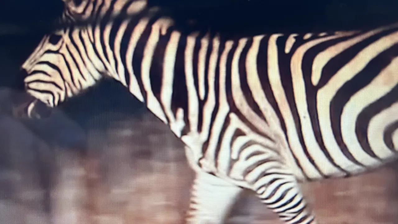 丹麦海宁国际旅游展览会 Ferie For Alle 2026