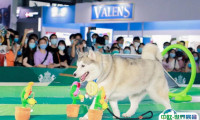 上海亚宠展2026时间地点