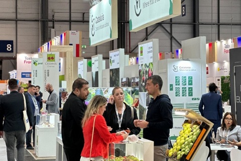 巴西圣保罗果蔬展览会展会现场图片