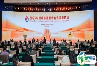 2025年携手东盟统计合作发展论坛在南宁举办