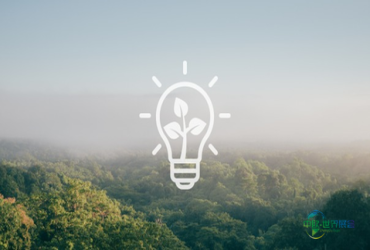 绿色零售从校园启航：沃尔姆斯大学如何激发学生对可持续议题的热情