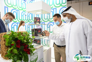 2026迪拜保健食品展举办时间与地点