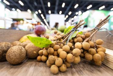 巴西圣保罗果蔬展与巴西水果协会形成战略伙伴关系