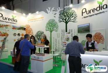 迪拜保健食品展2026门票购买途径