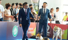 西安宠物展2026时间表及地点