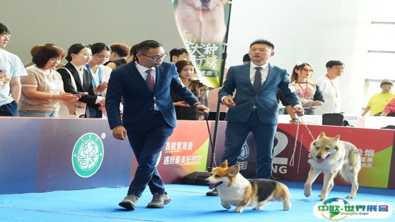 西安宠物展2026时间表及地点