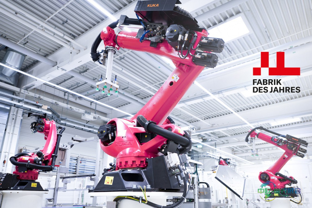 探访“2025年度工厂”