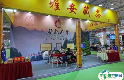 青岛茶博会2026时间及地点