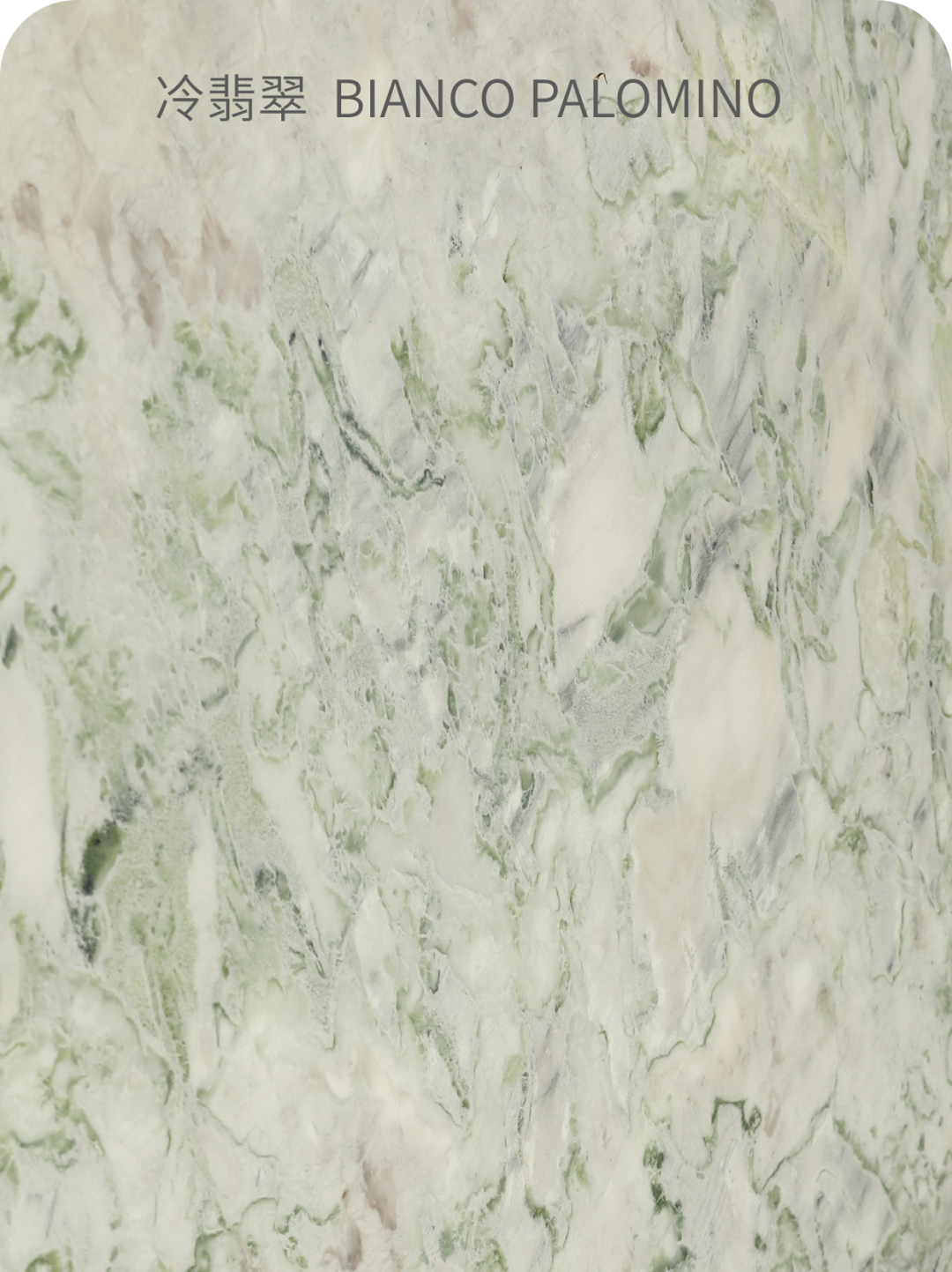 2025年迪拜五大行业展完美落幕，高时石材集团皇家白玉与Quarella人造石惊艳亮相！