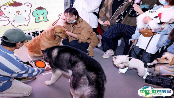 成都宠博会2026参展攻略（时间地点+门票多少钱？）